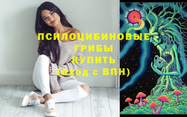 эйфоретик Балахна