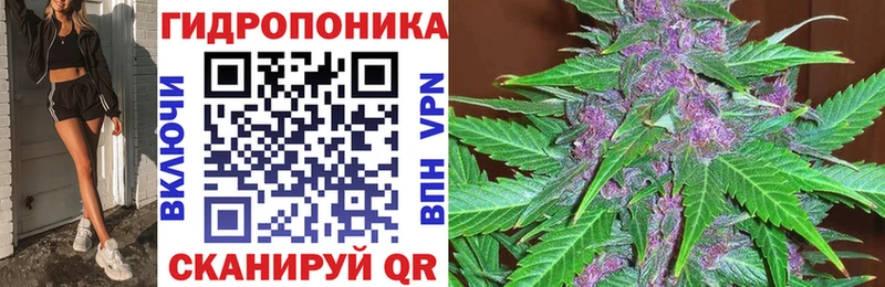 что такое наркотик Барыш Бошки марихуана план